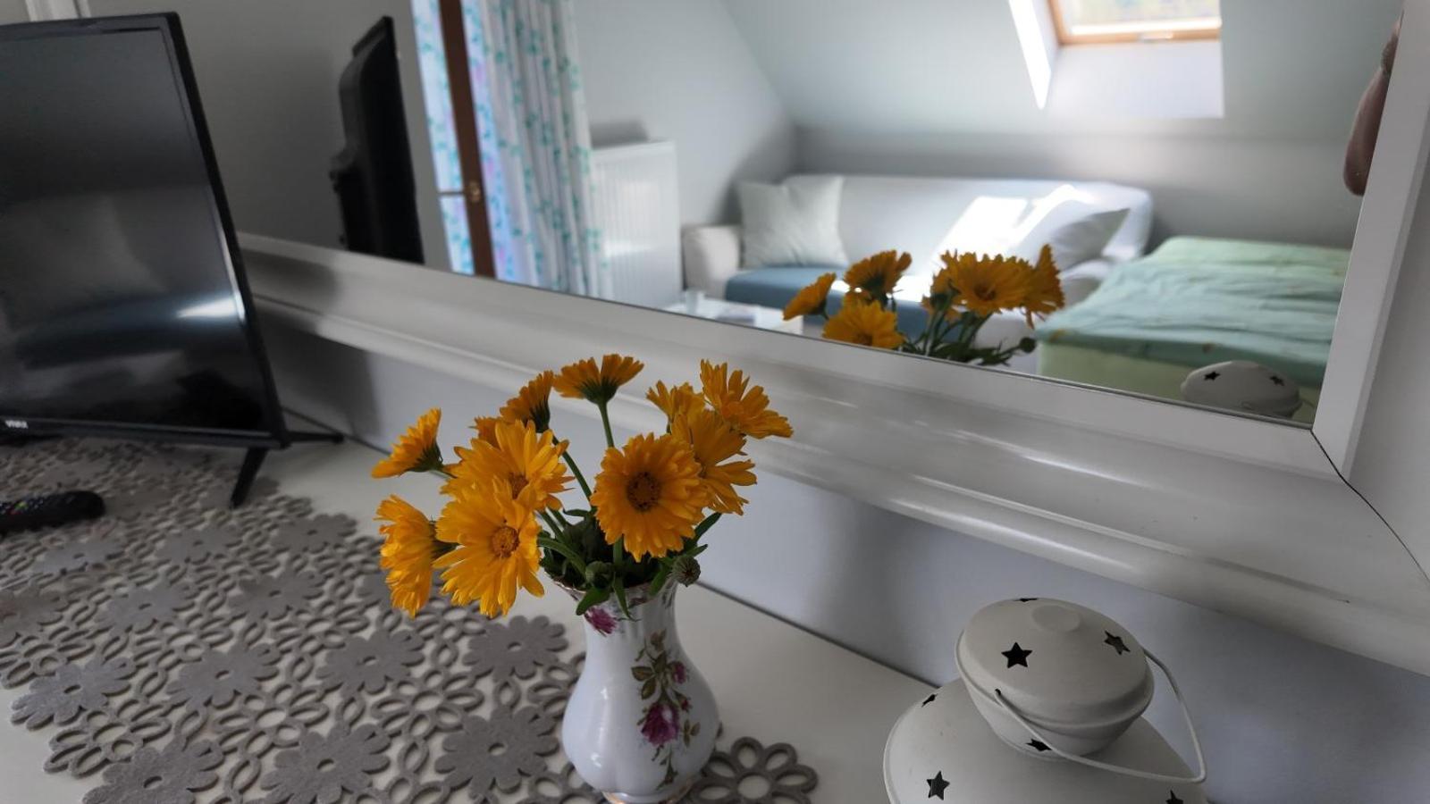 Strefa Ciszy -Lawenda Apartment ชเวียราโดว์-สโดรยจ์ ภายนอก รูปภาพ